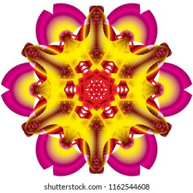 Digital Flower Art