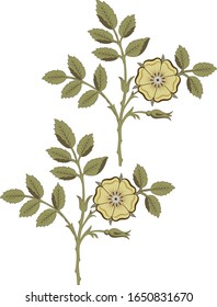 digital flowers design and leaves motif