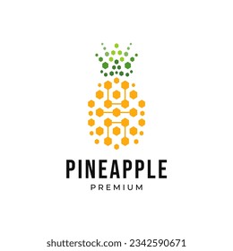 Digital fruit logo. Concept of logo in the form of a pineapple with circuit board design template