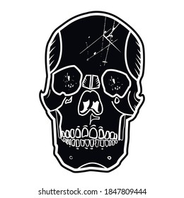 Digital hand draw illustration of  skull isolated on white background. Monochrome line art of anatomically correct human cranium. CG painting in graphic style.