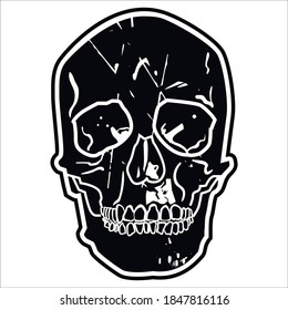 Digital hand draw illustration of  skull isolated on white background. Monochrome line art of anatomically correct human cranium. CG painting in graphic style.