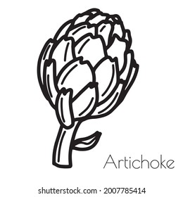 Digital hand drawn artichoke. Vector isolated on white background