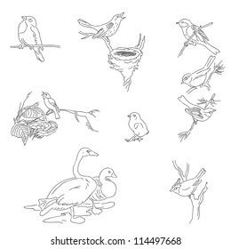 Digital hand drawn stamps