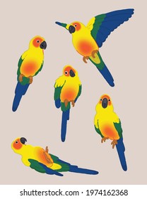 Digital hand drawn vector of parrots lovebirds.