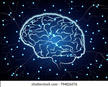 Digital human brain