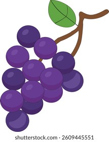 A digital illustration of a bunch of purple grapes attached to a brown stem with a single green leaf. Each grape has a smooth, round shape with subtle highlights that give a fresh, glossy appearance. 