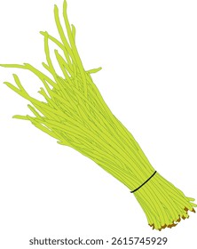 A digital illustration of a bundle of long beans (yardlong beans) tied together with a black band