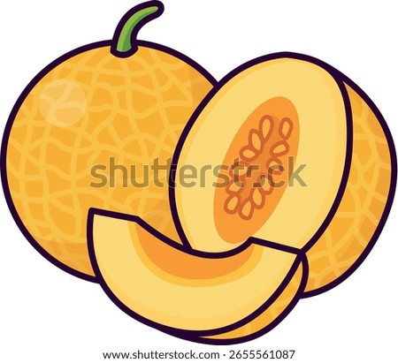 Digital illustration of a cantaloupe melon set including whole fruit, halved piece with seeds, and orange slice, drawn in clean minimal style with textured rind
