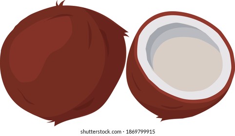 Digital illustration of a coconut