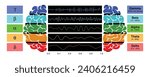Digital illustration depicting EEG chart showcasing the various types of brain waves generated by human brain activity.