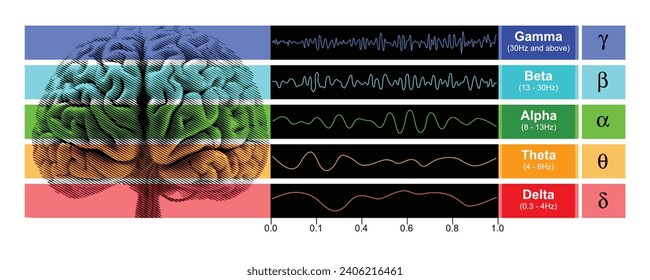 Digital illustration depicting EEG chart showcasing the various types of brain waves generated by human brain activity.