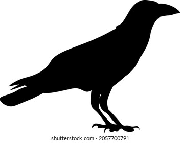 
Digital illustration of a drawing of a crow logo