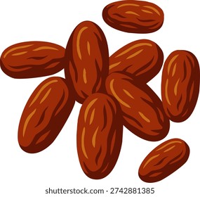 Digital illustration of dried dates, suitable for food packaging, health blogs, and nutrition content.