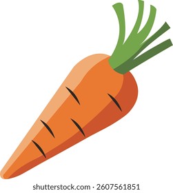 A digital illustration of a fresh carrot with a smooth, slightly tapered orange body and vibrant green leaves on top. The carrot features subtle highlights that enhance its natural texture and fresh