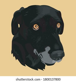 
Digital Illustration of a Labrador Retriever Dog