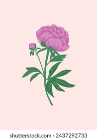 A digital illustration of a magenta peony flower with green leaves and stem, showing a large bloom and a smaller bud.