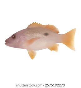 A digital illustration of a one-spot snapper fish (Lutjanus monostigma). The fish is depicted in a side profile, with its scales and fins clearly visible