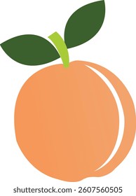 A digital illustration of a peach fruit featuring a smooth, soft orange hue with two green leaves attached to the stem. A subtle highlight adds a fresh and vibrant look to the design. 