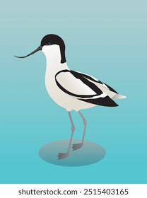 A digital illustration of a pied avocet