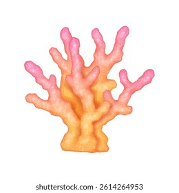 Digital illustration of a pink and orange coral in bright colors depicting marine life and underwater ecology with white background with copy space.