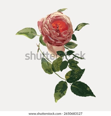 A digital illustration of a rose with lush green leaves. The rose, vibrant and detailed, showcases delicate petals. The rose stands out against a plain background. Vintage flower illustration vector.