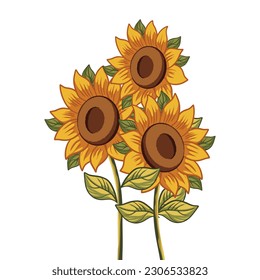 Digital illustration of sunflower flowers in full bloom