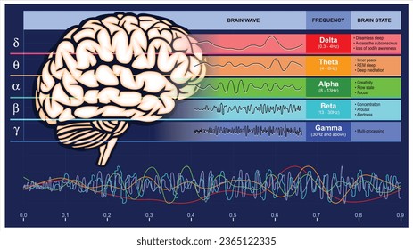 A digital illustration of various brain waveforms resulting from brain activity. These diverse waveforms are representative of human brain activity patterns, providing a demonstration of their unique 