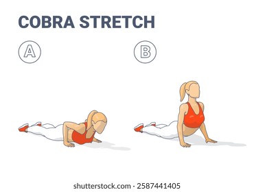 A digital illustration of a woman performing the cobra stretch exercise in two stages. The image demonstrates the correct movement, for fitness guides, yoga tutorials, and stretching infographics.