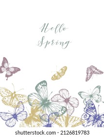 Digital image of butterflies in retro style. Vector illustration of butterfly