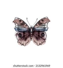 Digital image of butterfly in retro style. Vector illustration of butterfly