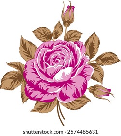 digital  Kaptan Figar illustrator vector design