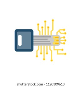 Digital Key Concept, Microchip Flat Vector Icon. Isolated on White Background. Trendy Flat Style.