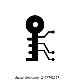 Digital key icon isolated on white background.