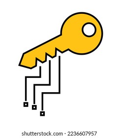 Digital Key Icon. Symbol of an electronic key. Vector.