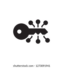 digital key icon vector glyph style