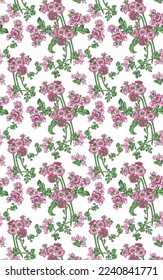 diseño vectorial de ilustrador kurti allovar digital