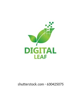 Digital Leaf Logo Template