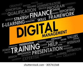 Digital Management word cloud, business concept