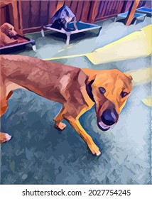 Digital Oil Painting illustration with Dog, beautiful Pet.Cute Pet, very cool