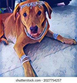 Digital Oil Painting illustration with Dog, beautiful Pet.Cute Pet, very cool