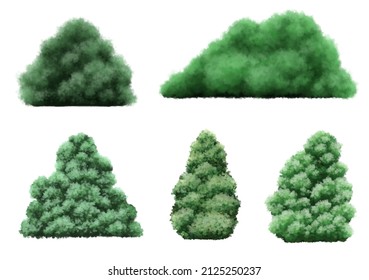 Digital painting. 5 types of bushes.