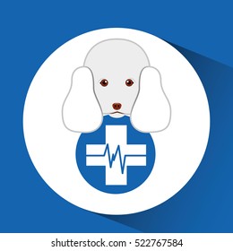 digital pet shop with poodle and clinic symbol vector illustration eps 10