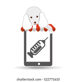 digital pet shop with poodle and pharmarcy drugs vector illustration eps 10