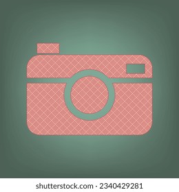 Digital photo camera sign. Apricot Icon with Brick Red parquet floor graphic pattern on a Ebony background. Feldgrau. Green. Illustration.