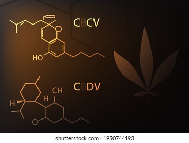 afiche digital con comparación CBD y THC. 