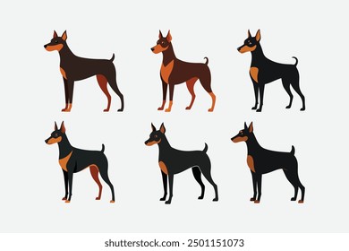 The digital product "Affenpinscher Dog vector artwork" is a graphic design file featuring a stylized, high-quality vector illustration of an Affenpinscher dog.