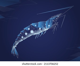 Digital Shrimp Vector in Blue Background