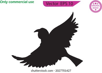 Digitale Silhouetten von Vögeln. Vogelvektorgrafik. Fliegender Sperling einzeln auf transparentem Hintergrund. 