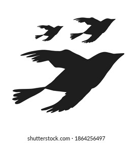 Digital silhouettes of birds. Bird vector illustration. Element for cricut.