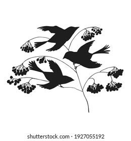 Digital silhouettes of birds. Bird vector illustration. Element for cricut.